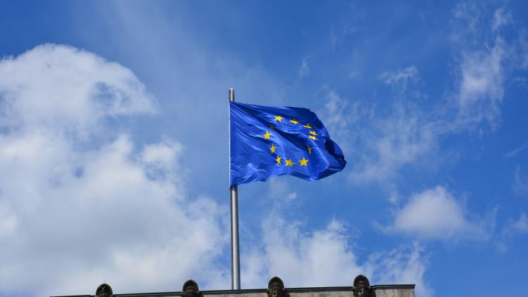 Fahne Europa Bundestag